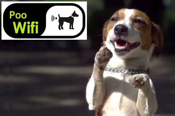 Poo-wifi1.jpg