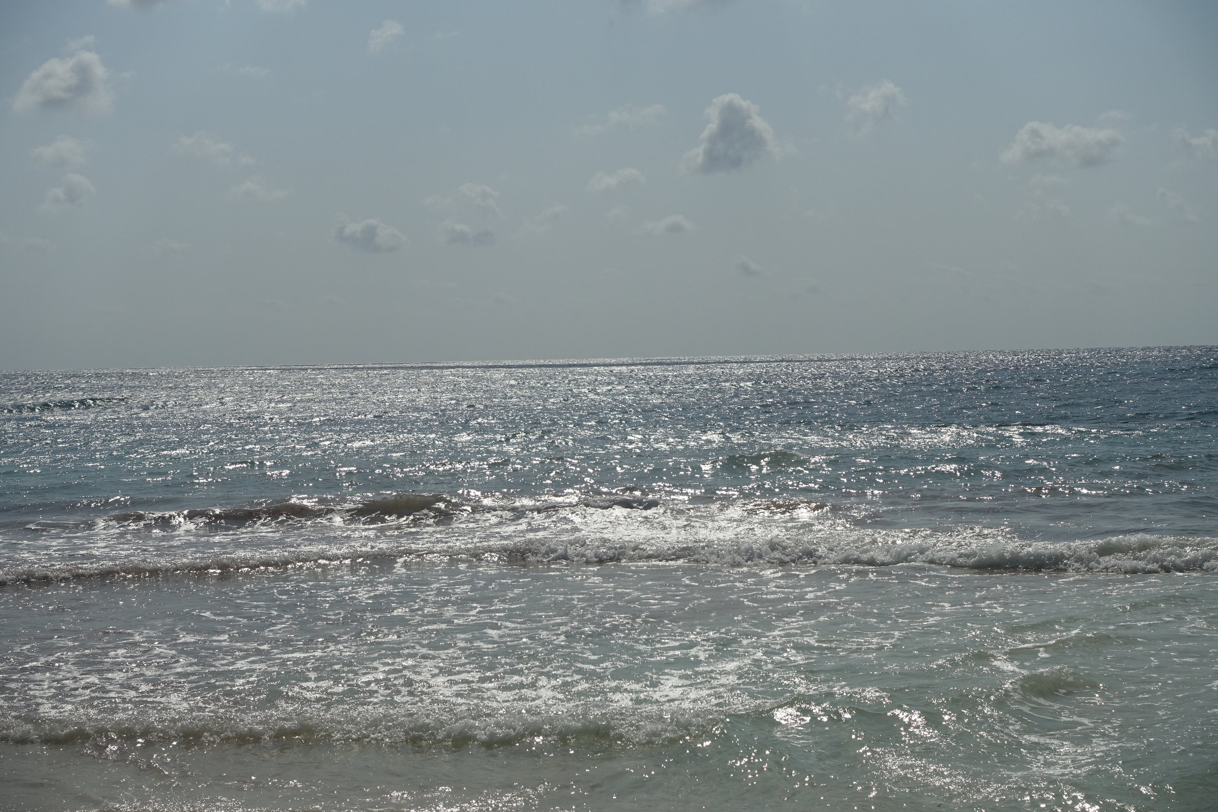 DSC01018.jpg