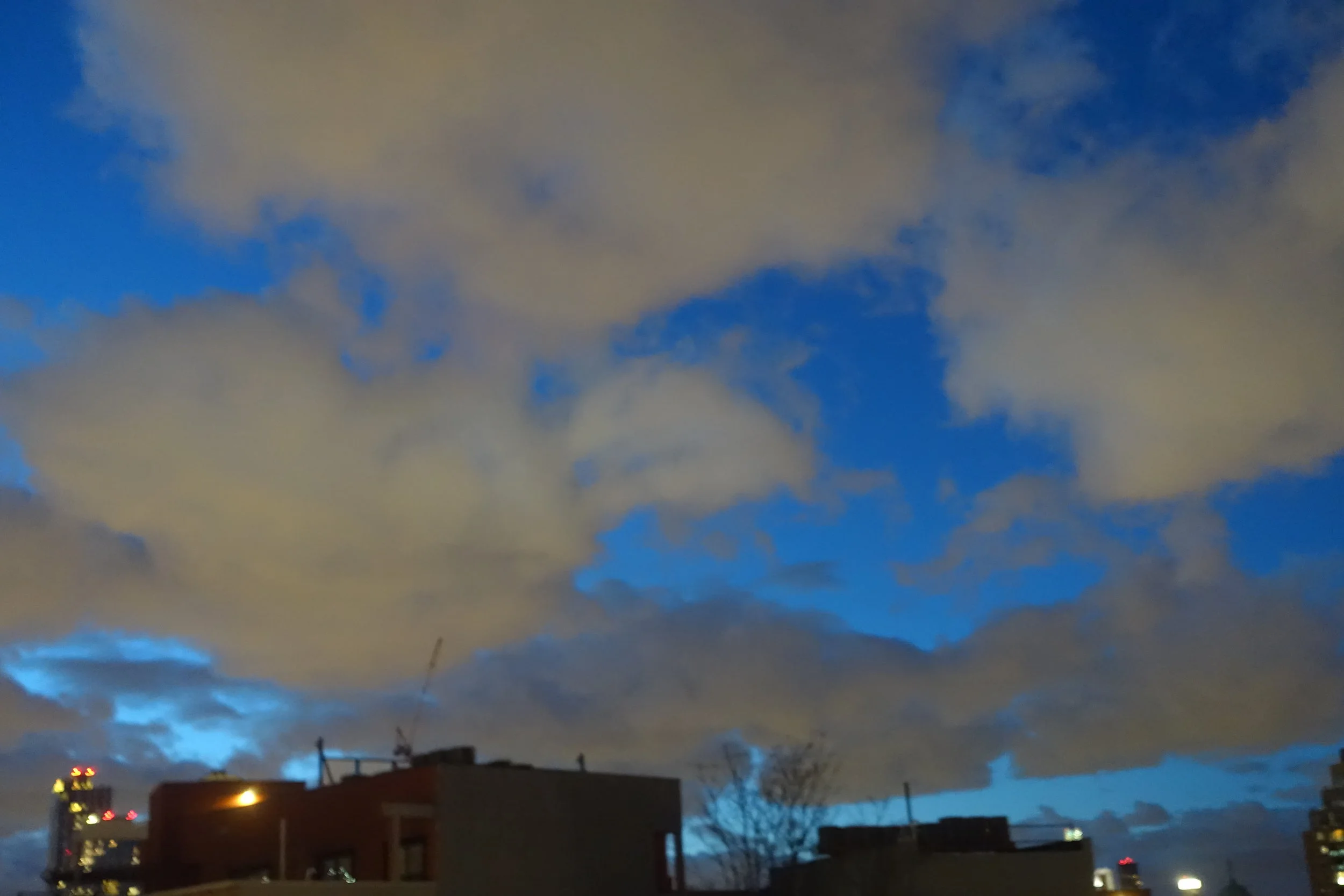 DSC00911.jpg