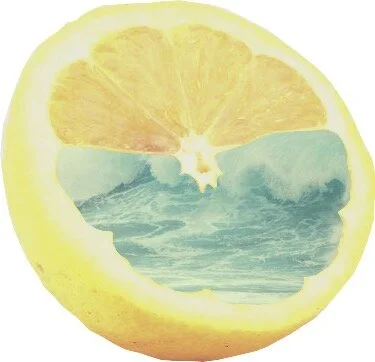 lemon : water.jpg