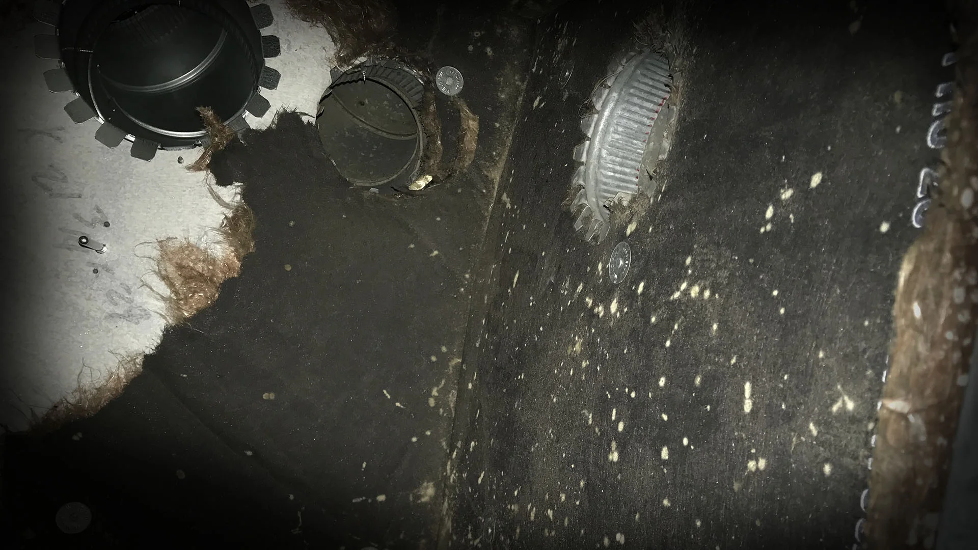 Mold colonies and damaged internal duct liner inside a residential HVAC return trunk before professional source-removal cleaning and antimicrobial remediation that preserved the existing ductwork.
