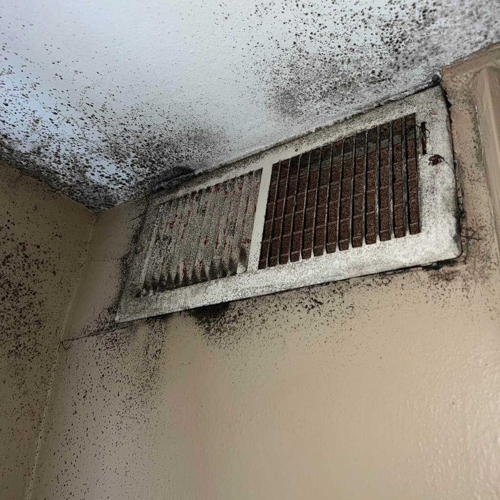 Should Air Ducts Be Cleaned After Mold Remediation?