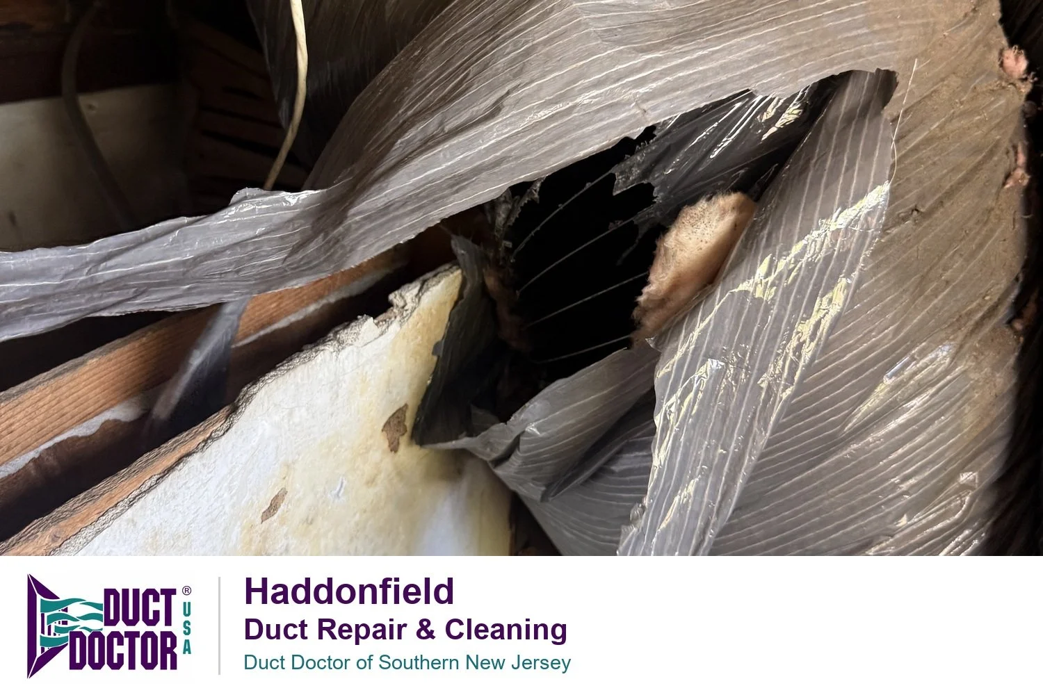 Haddonfield Duct Repair and Cleaning: What a Few Feathers Revealed
