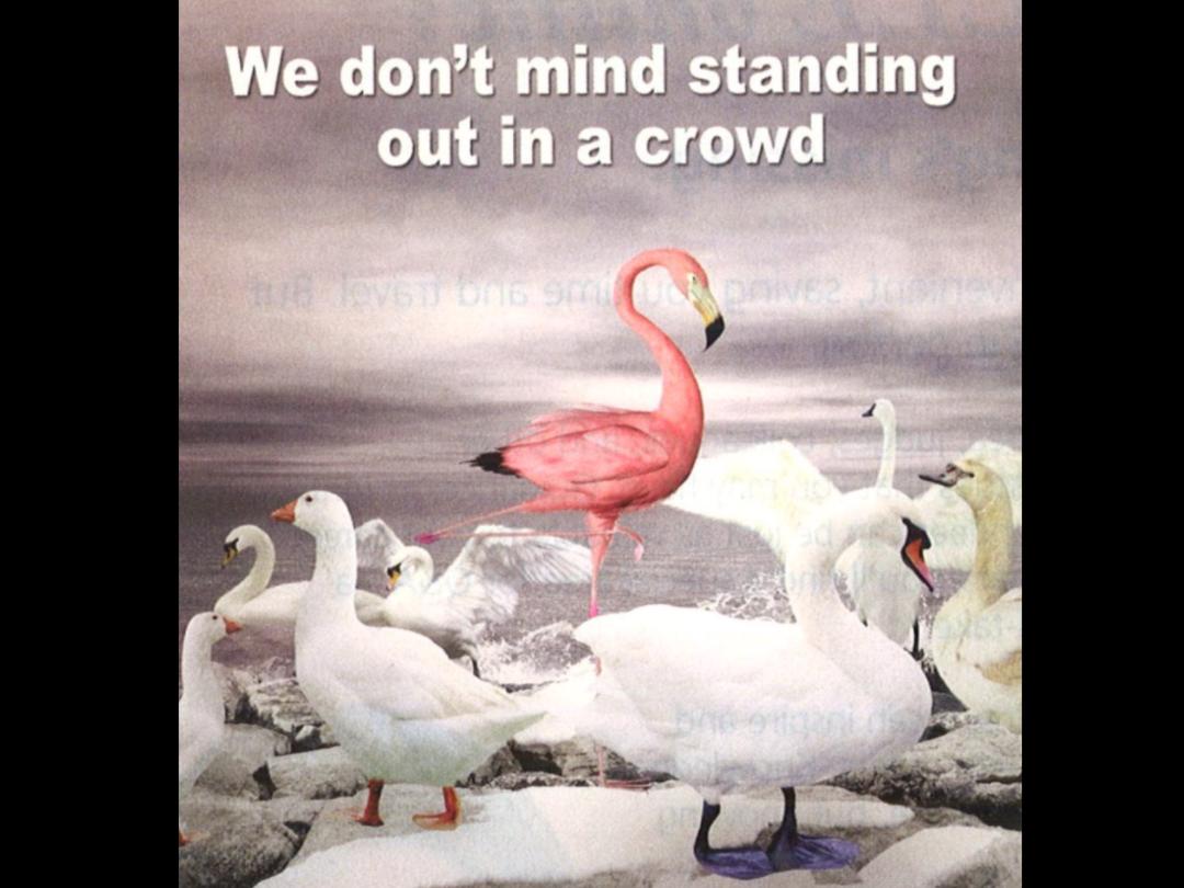 We don't mind standing out in a crowd.jpg