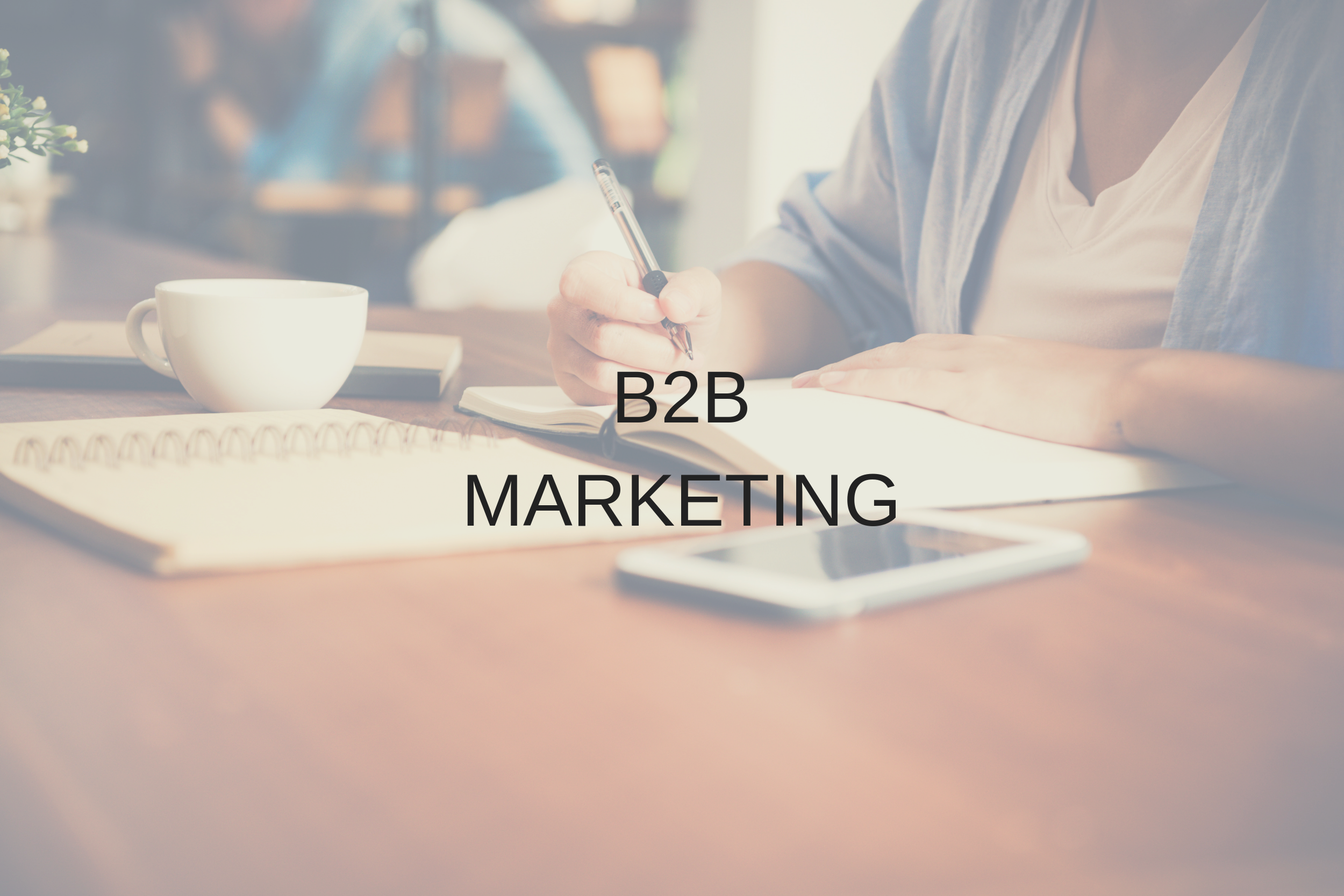 B2B marketing pic.png