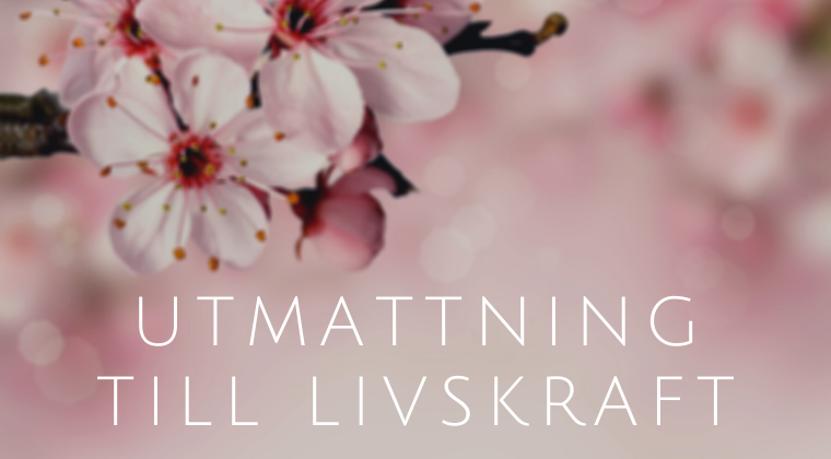 utmattningssyndrom u2014 BLOGG u2014 Sanna Dahlin