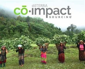 co-impact-sourcing-nepal-wintergreen_page_1-e1523270136485.jpg