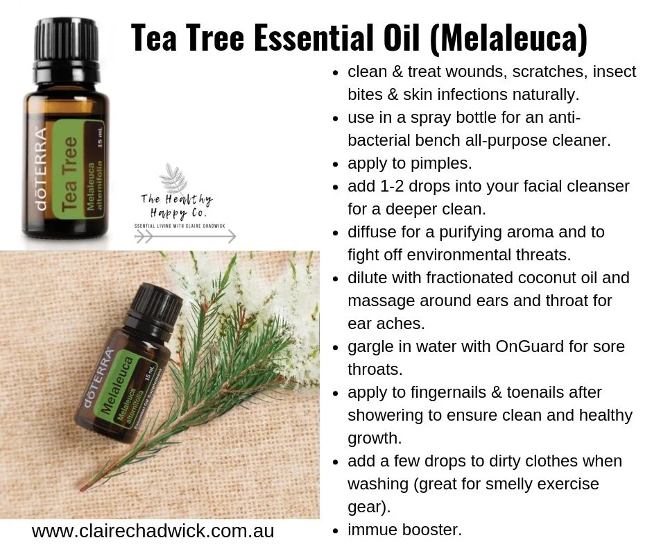 All About Tea Tree Essential Oil.jpg