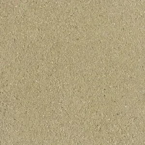 SCGE-1.2-300x300.w300.h300.fill.webp