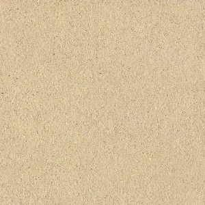SCGE-4.2-300x300.w300.h300.fill.webp