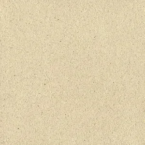 SCGE-3.3-300x300.w300.h300.fill.webp