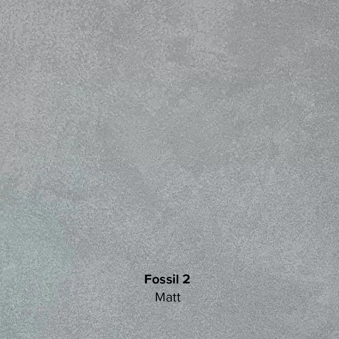 Fossil-2-Matt-jpg.jpg