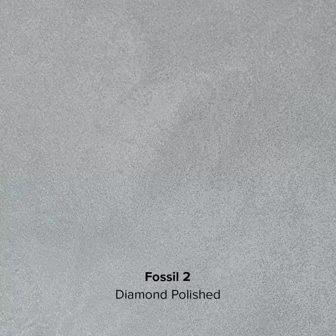 Fossil-2-Diamond-Polished--jpg.jpg