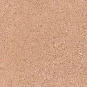 ROGE-2.1-300x300.w300.h300.fill.webp
