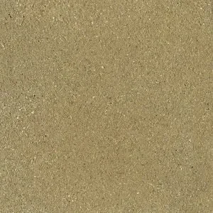 SCGE-2.0-300x300.w300.h300.fill.webp