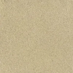 SCGE-3.2-300x300.w300.h300.fill.webp