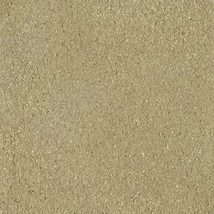 SCGE-3.0-300x300.w300.h300.fill.webp