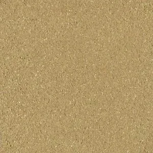 SCGE-4.0-300x300.w300.h300.fill.webp