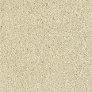 SCGE-2.3-300x300.w300.h300.fill.webp
