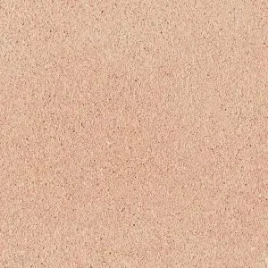 ROGE-2.2-300x300.w300.h300.fill.webp