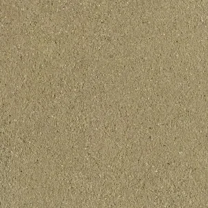 SCGE-1.1-300x300.w300.h300.fill.webp