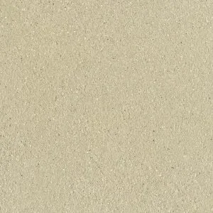 SCGE-1.3-300x300.w300.h300.fill.webp