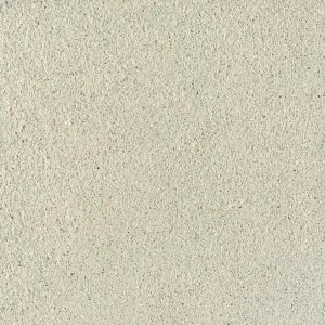 SCGR-1.3-300x300.w300.h300.fill.jpg