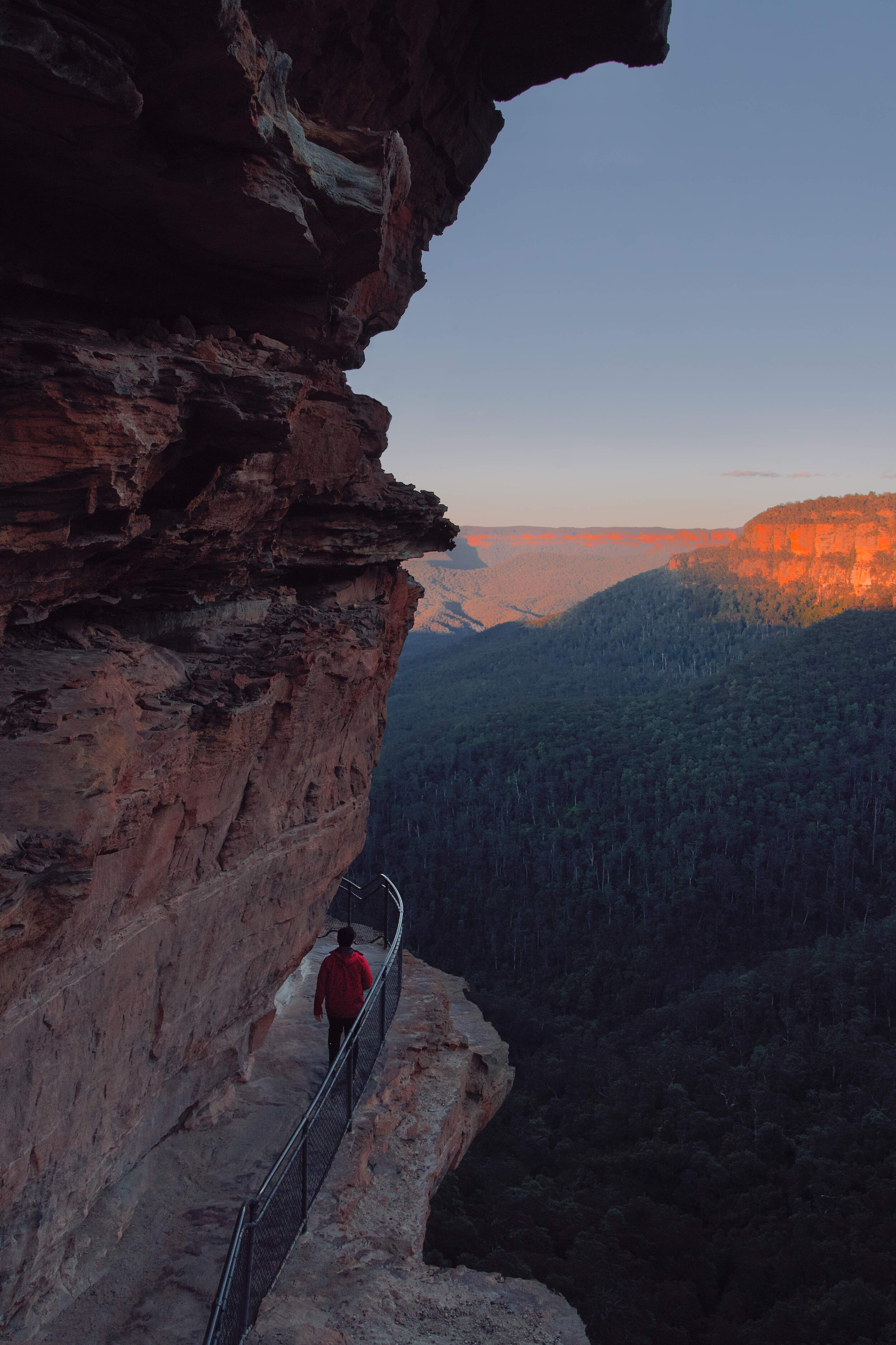 Sunrise on Wentworth Valley Track