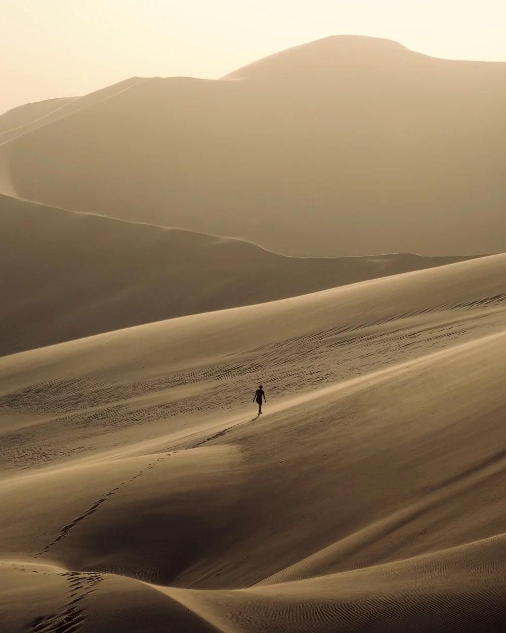 While we were driving that morning, the road became covered by sand and huge dunes appeared along the coast. We decided to climb into some of the highest ones and this was the afternoon at the top ✨

#namibia #namibia🇳🇦 #namibiatourism #namibiatrav