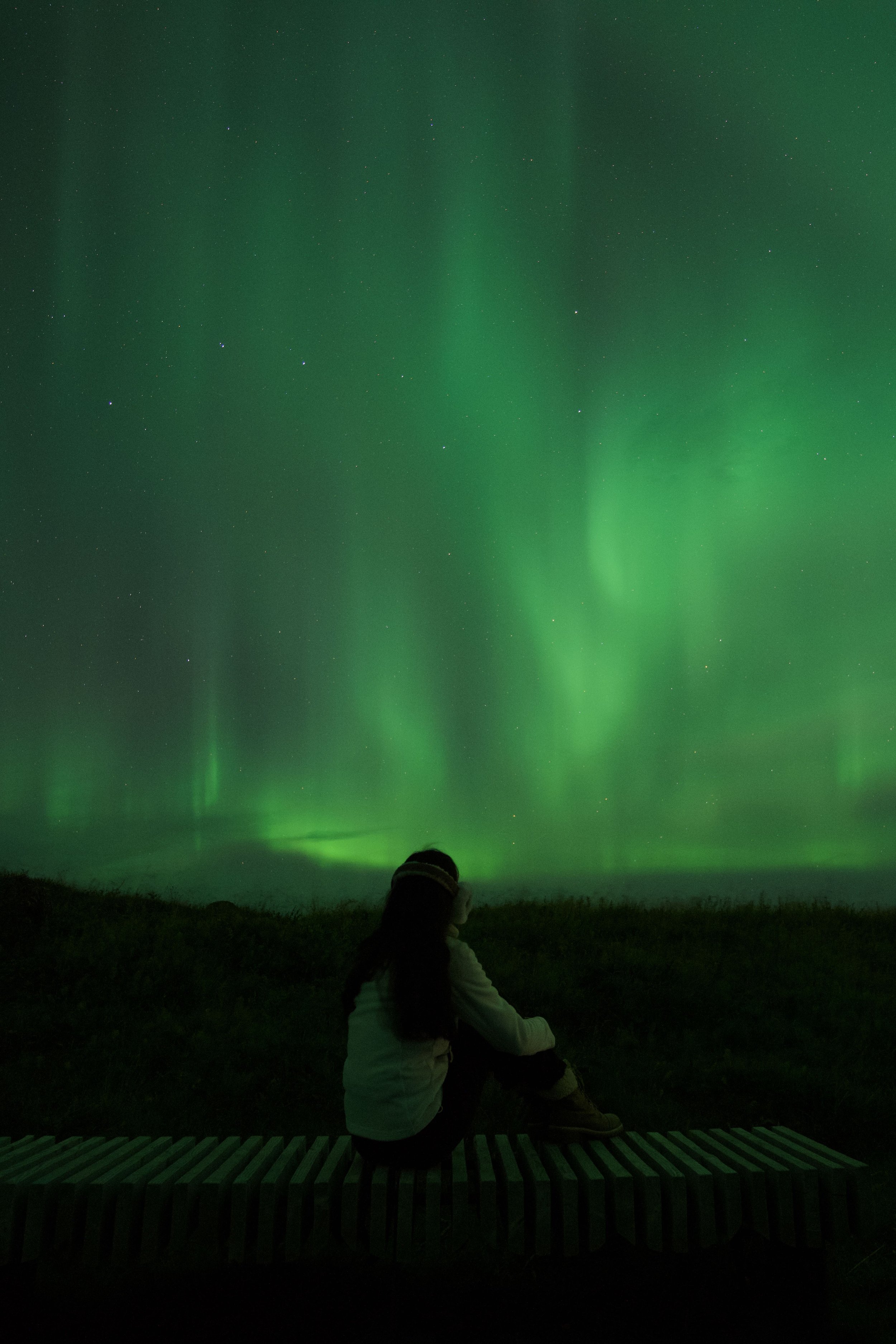 The best Northern Lights tours in Iceland
