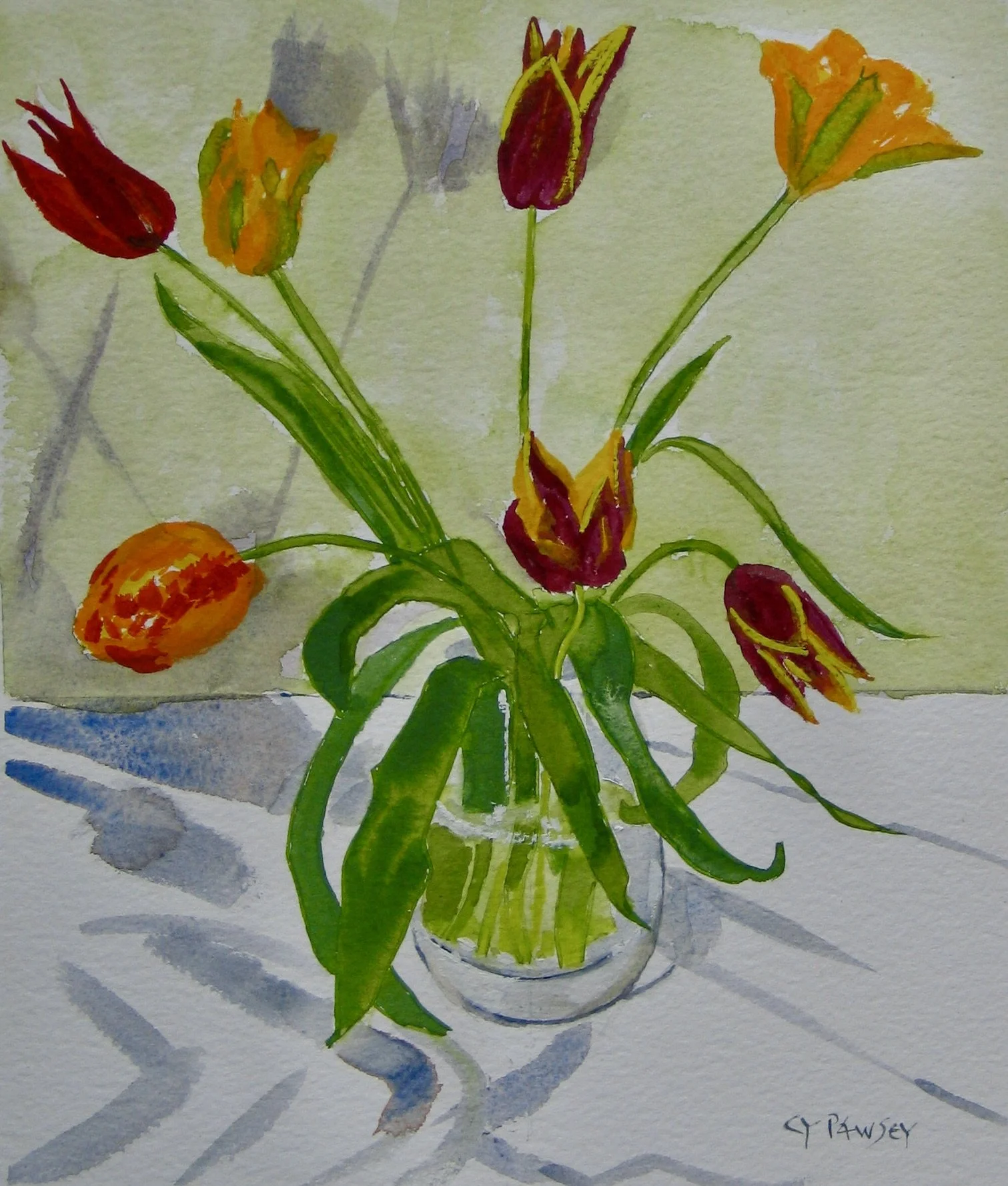 Seven tulips in a glass vase, watercolour by Cy Pawsey