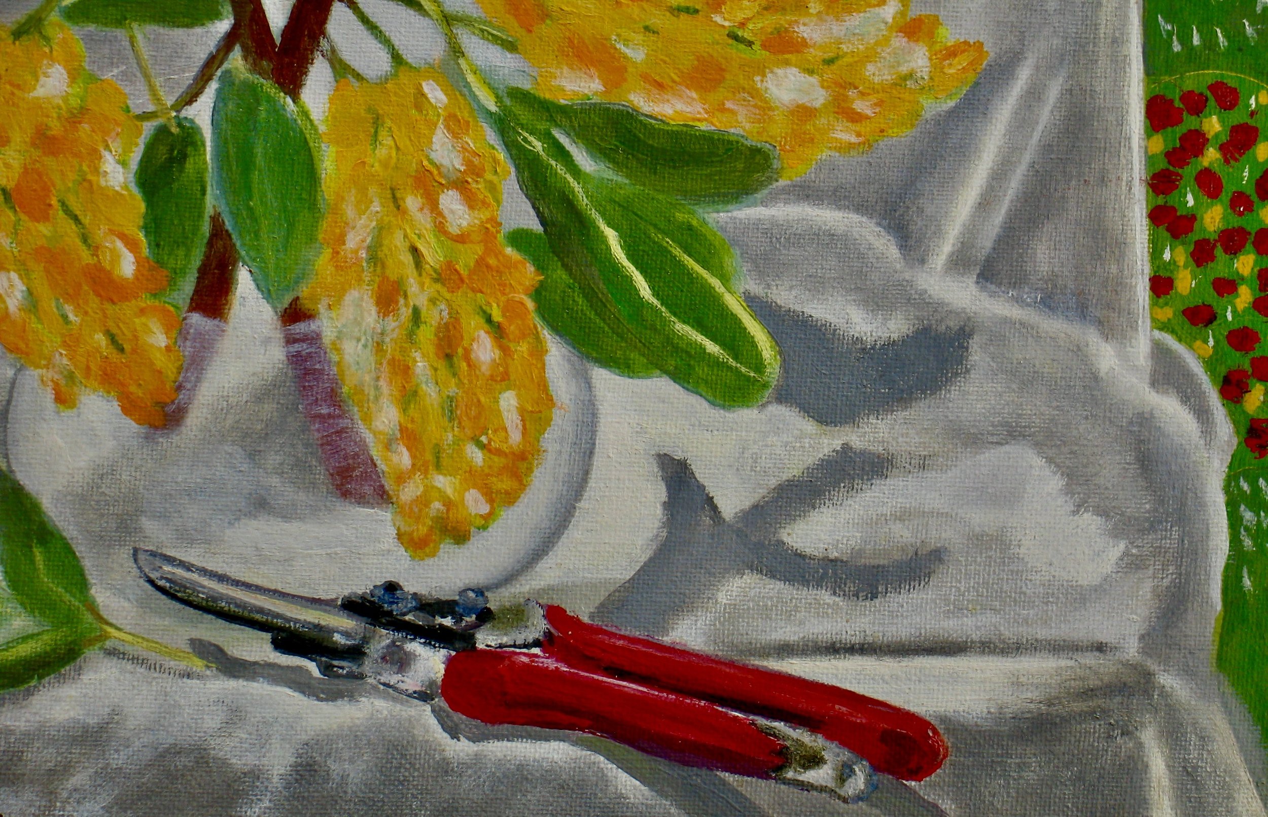 Original flower painting of pineapple broom by Cy Pawsey