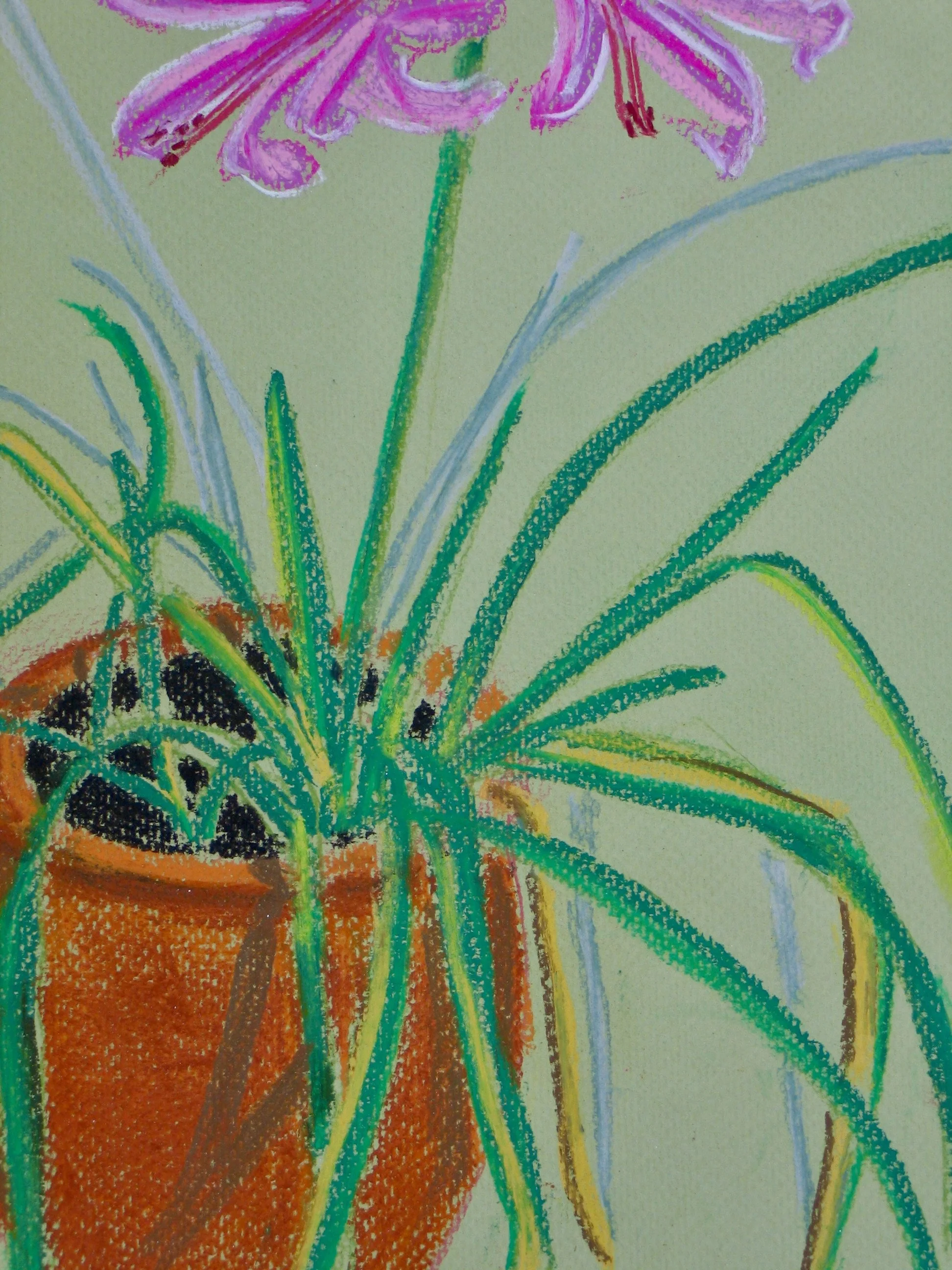 Pastel flower painting,  detail