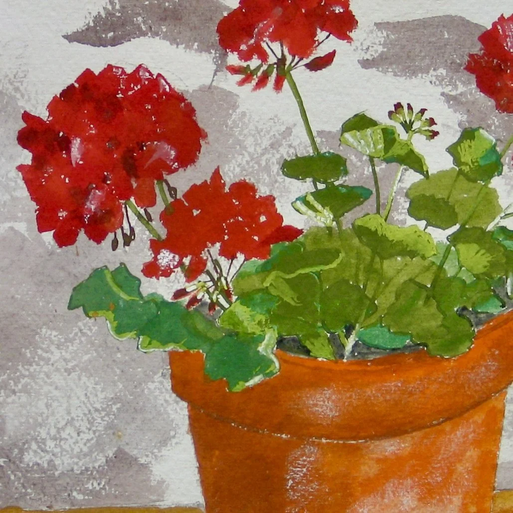 Red geraniums detail from galeriecy.com