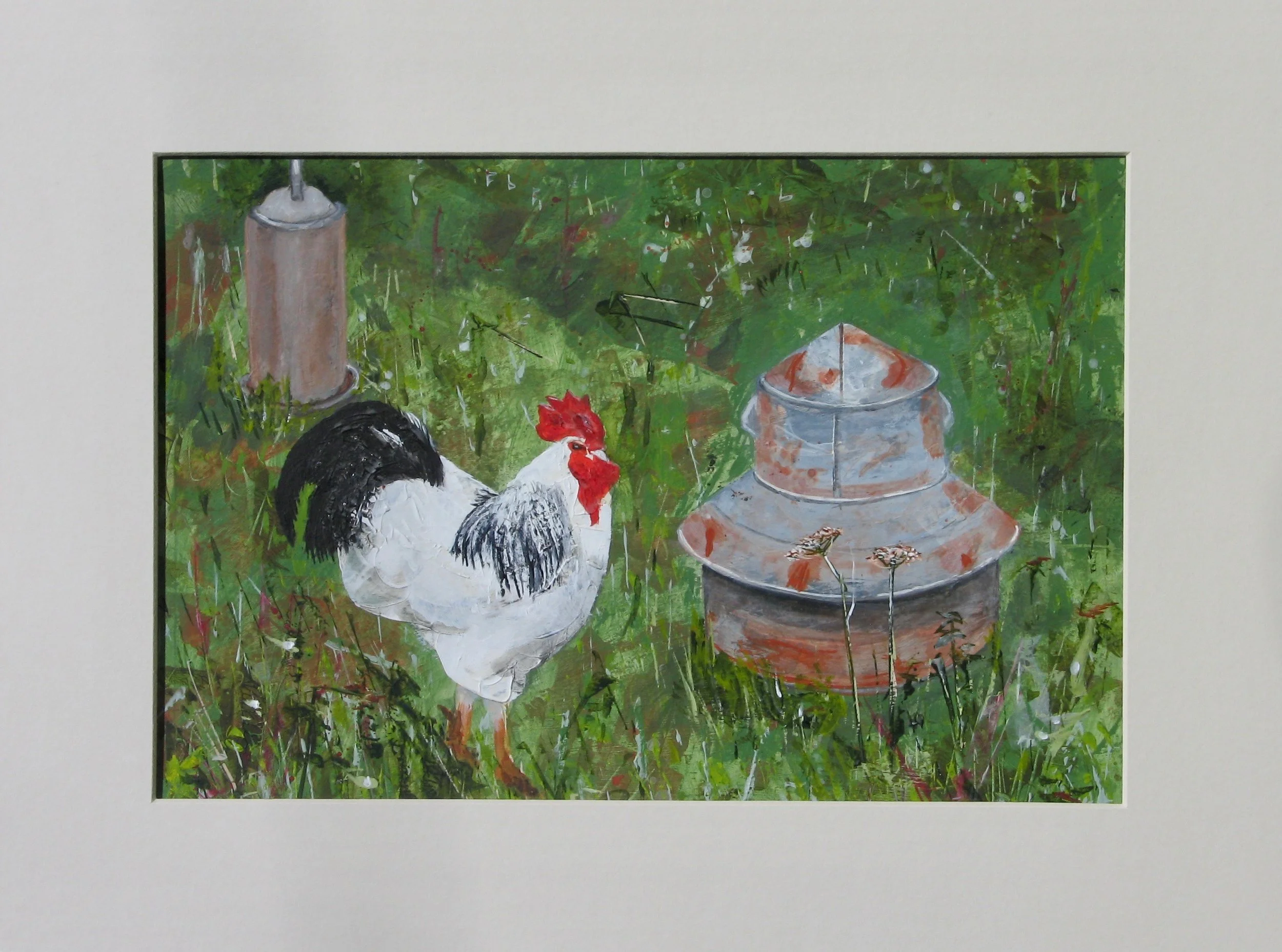 Light Sussex cockerel, acrylic painting