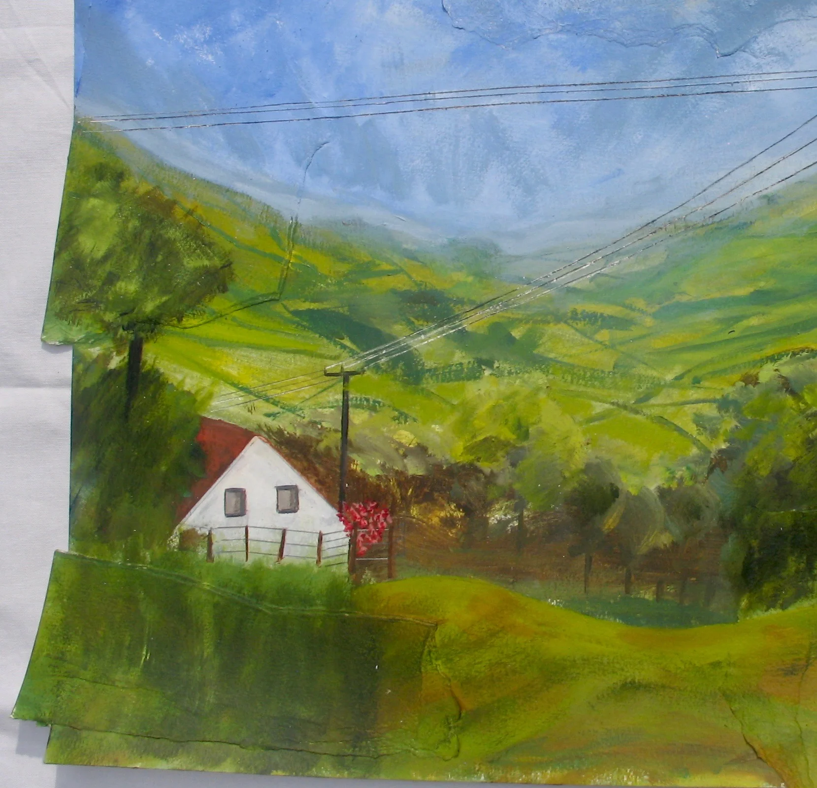 Shropshire landscape, detail