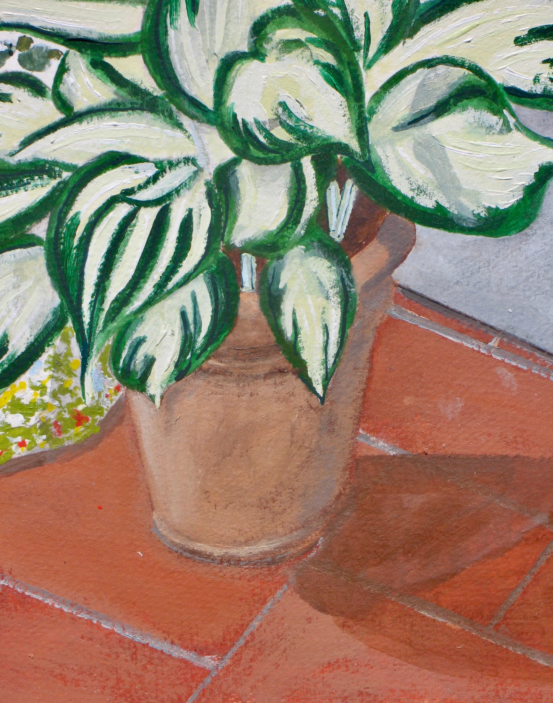 Flowering hosta in a pot, still life detail