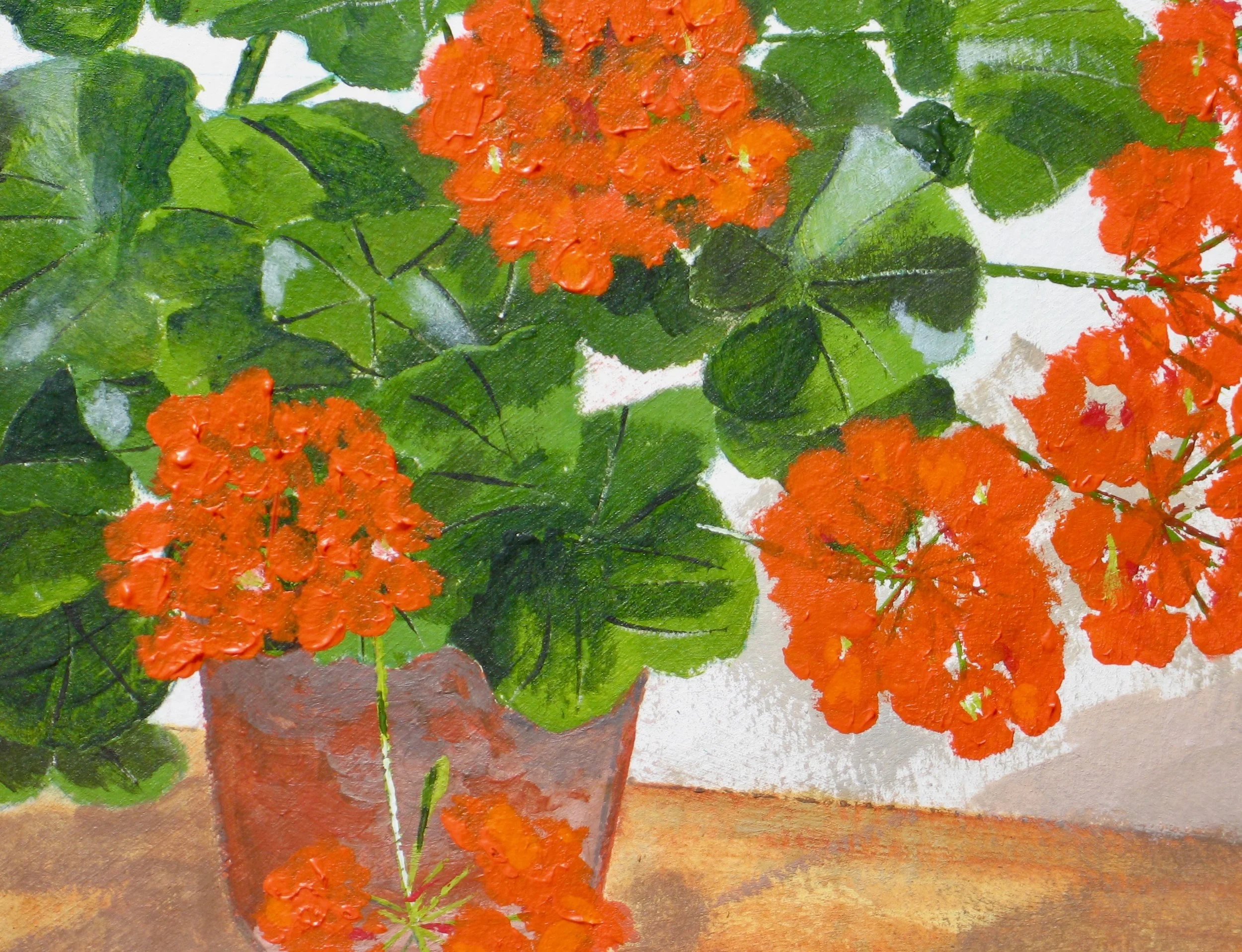 Geranium plant in a pot by Cy Pawsey