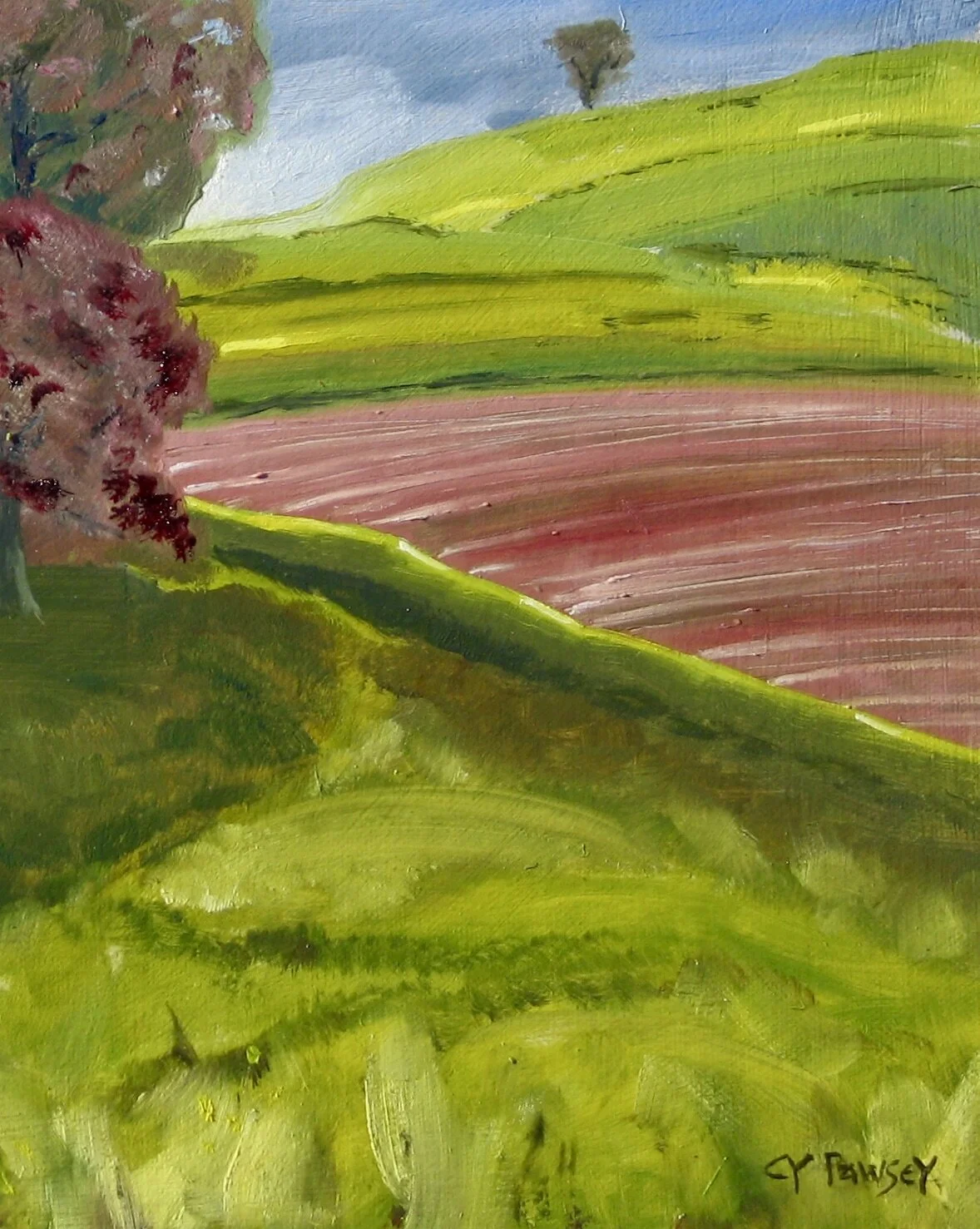 Radnorshire landscape painting by Cy Pawsey