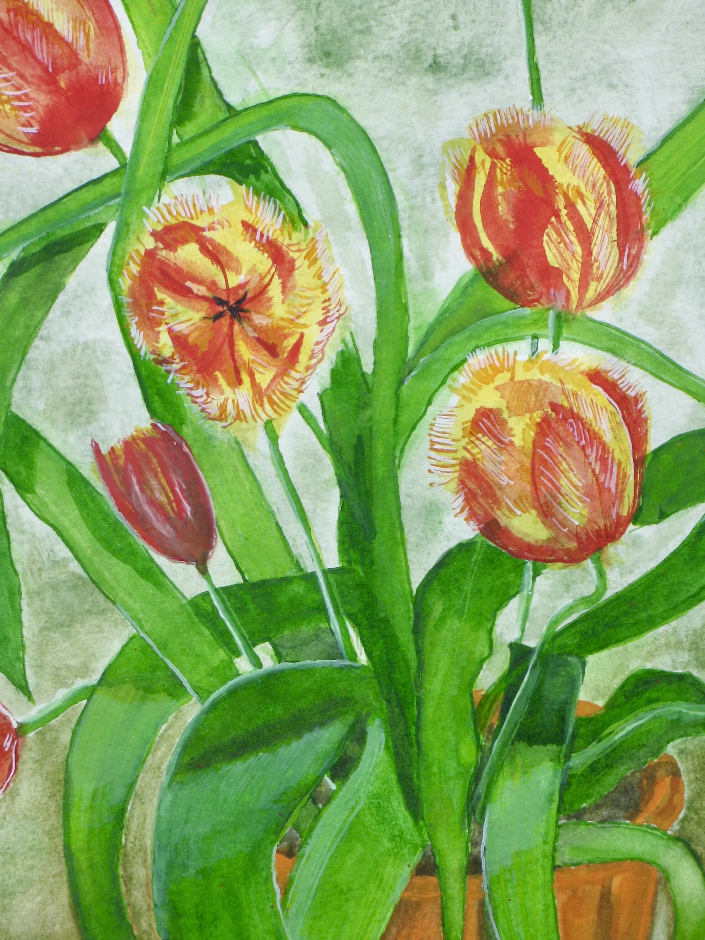 Tulips in a terracotta pot by Cy Pawsey