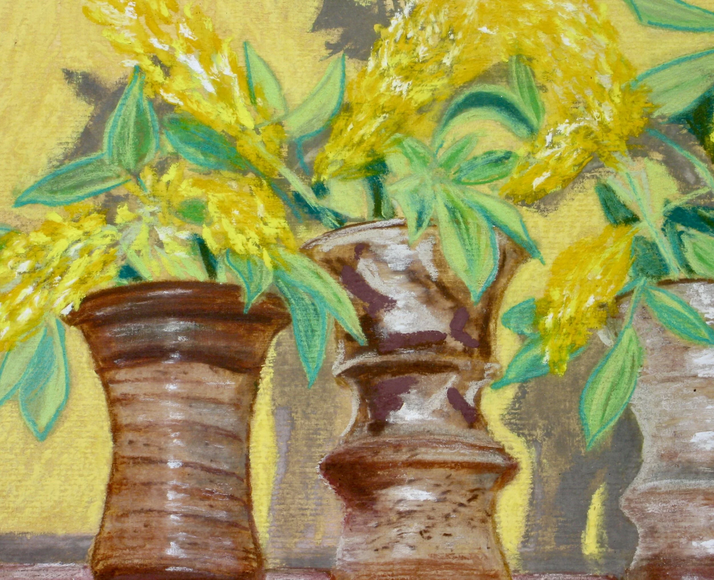 Studio pots with pineapple broom flowers, detail