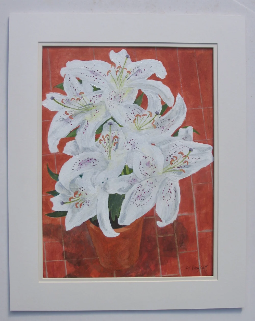White lily 'Muscadet