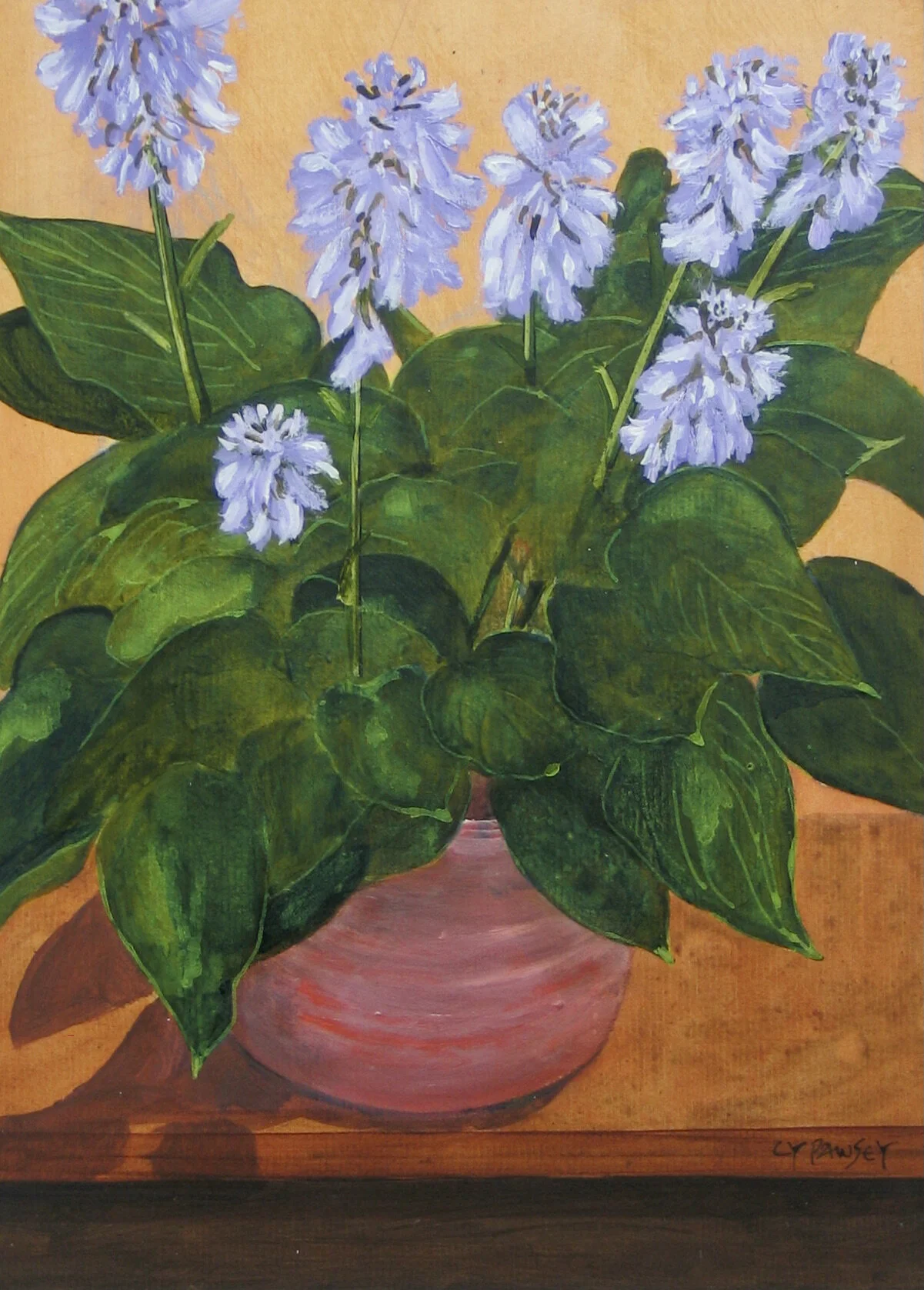 Hosta in a terracotta pot, original painting by Cy Pawsey
