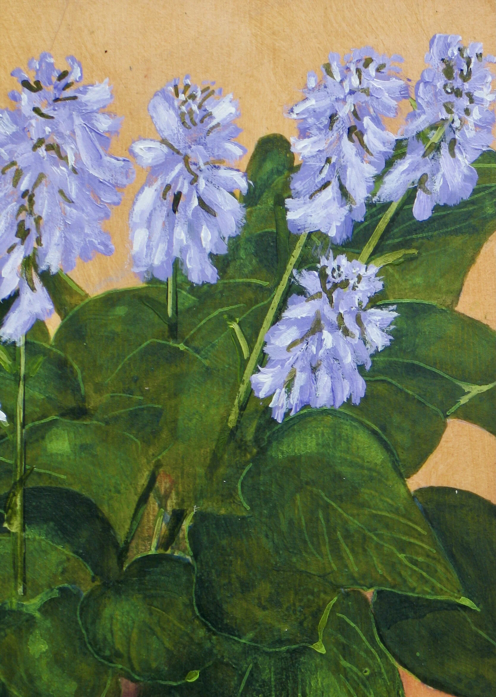Flowering costa painting, detail