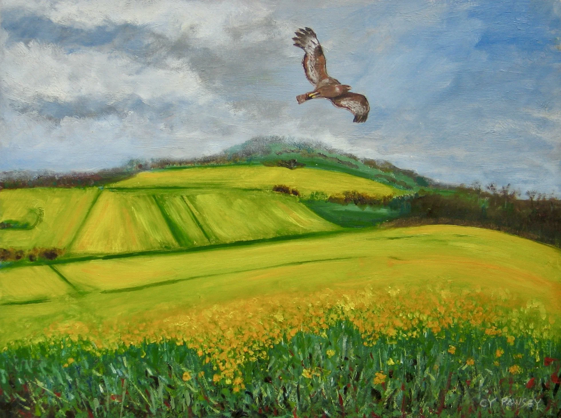 Buzzard over Worcestershire countryside, oil painting