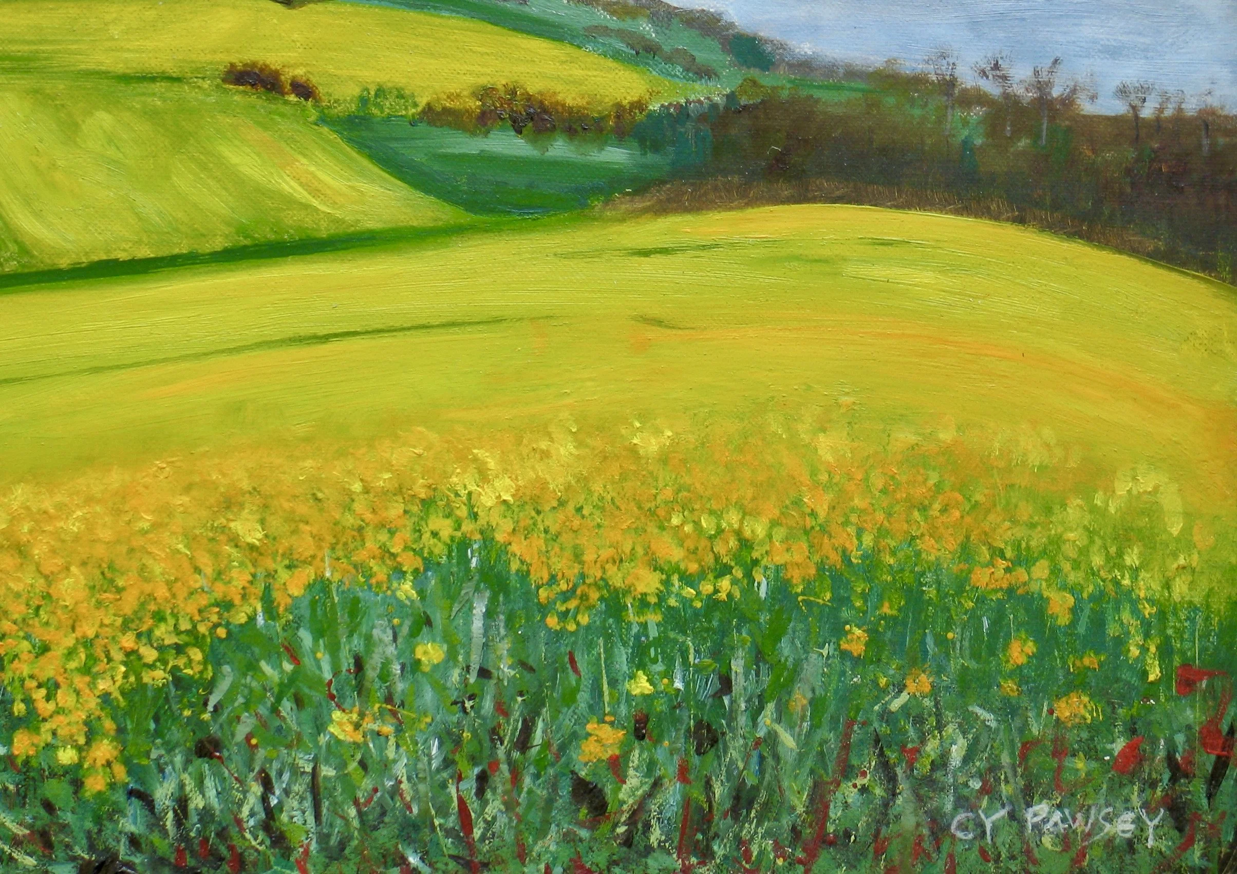 Worcestershire rape fields, detail