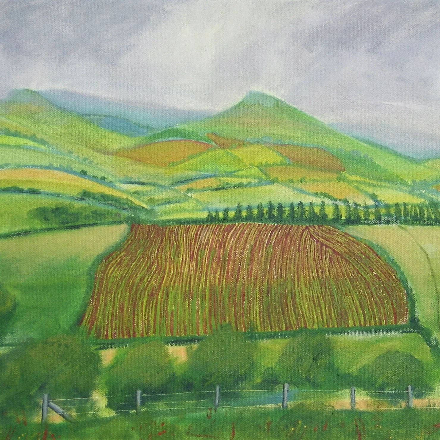 View from Llandefalle Hall - oil painting