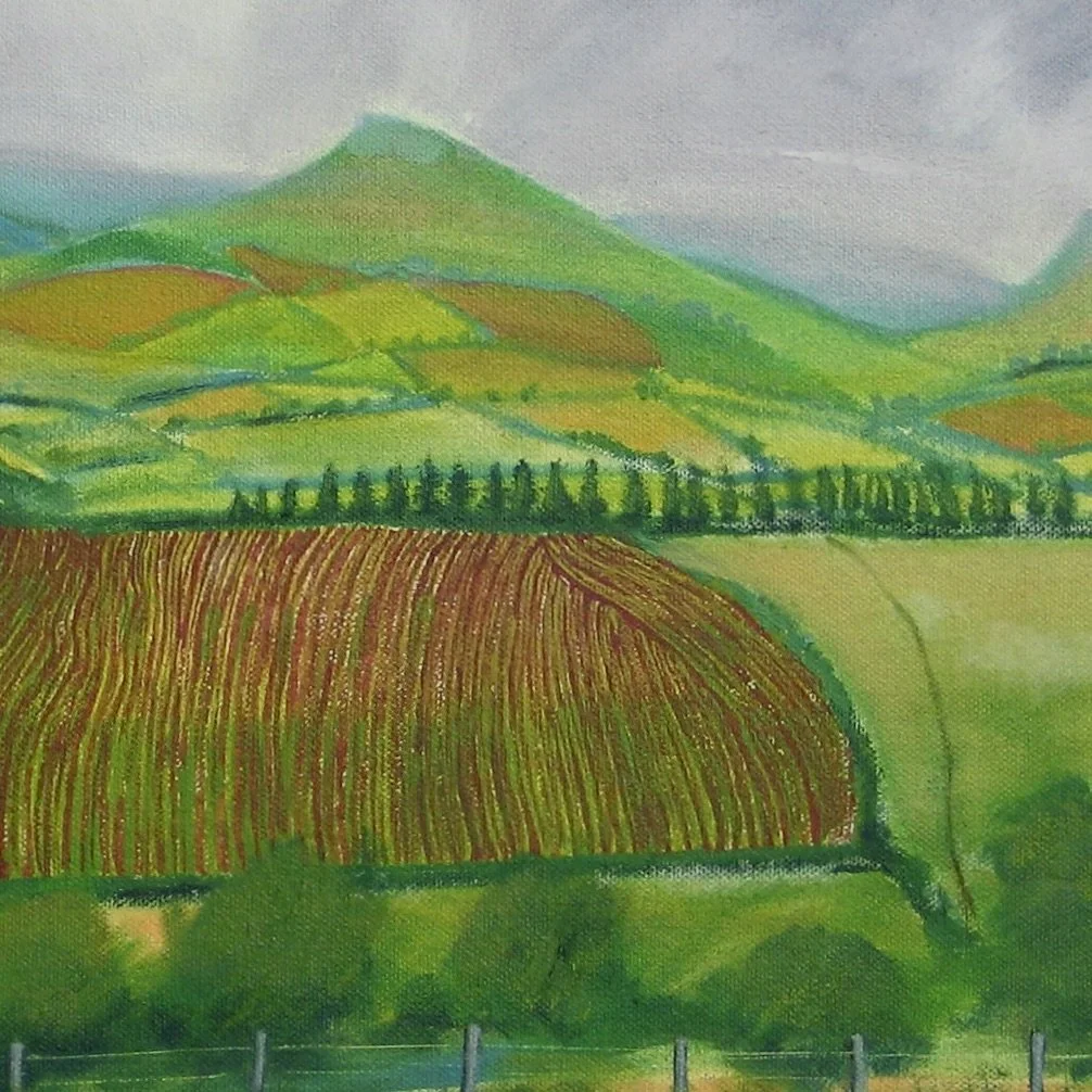 Ploughed field in the Brecon Beacons, detail