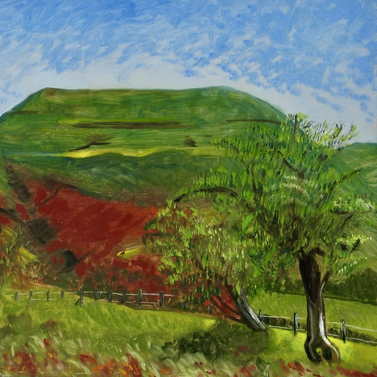 Towards Y Das Mountain, Brecon Beacons oil painting