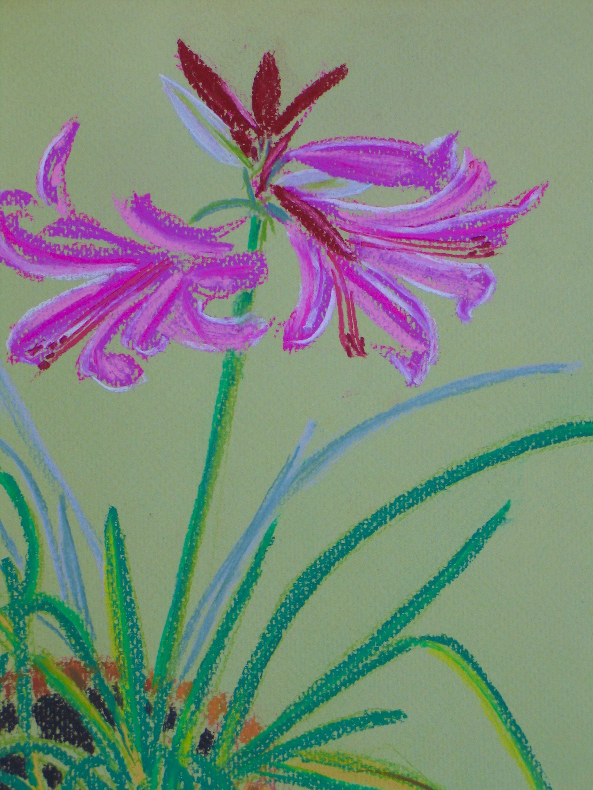 Latest flower still life by Cy Pawsey at galeriecy